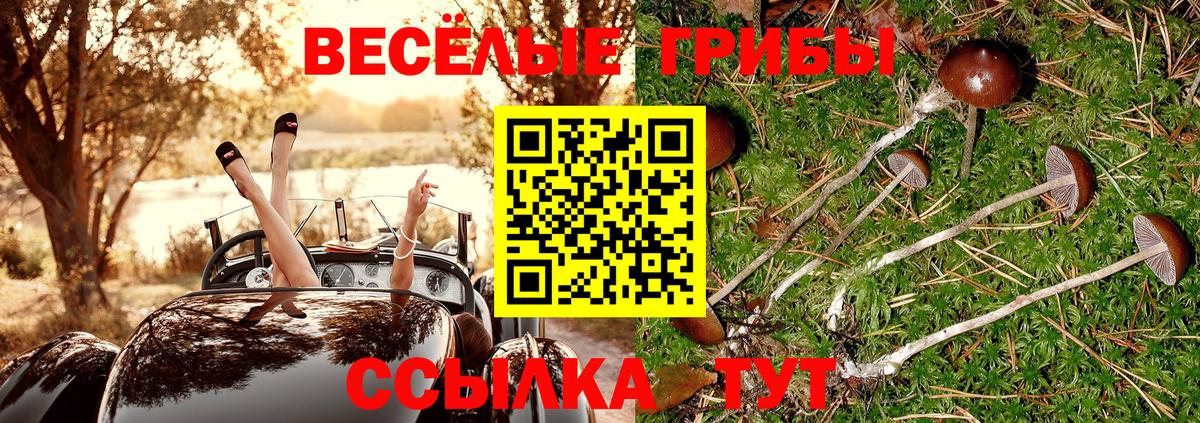 Галлюциногенные грибы ЛСД  Вход с VPN  Мурманск 